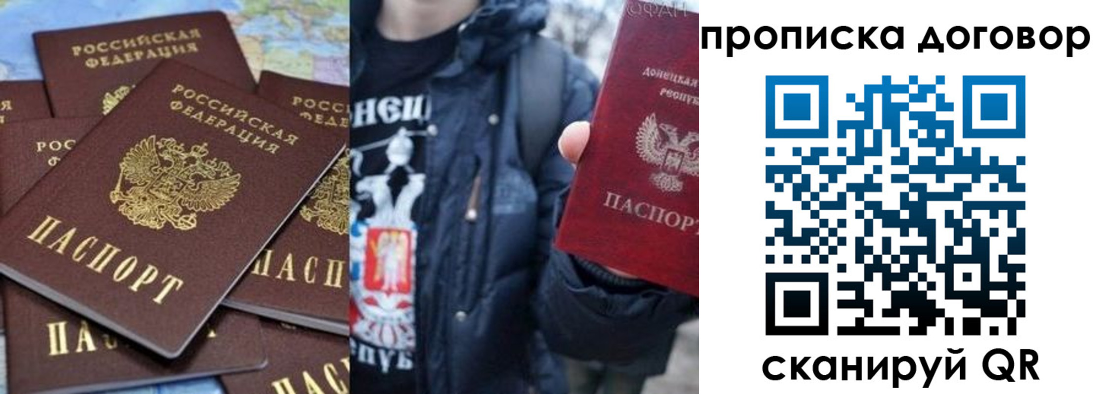 прописка поиск в Бабаево